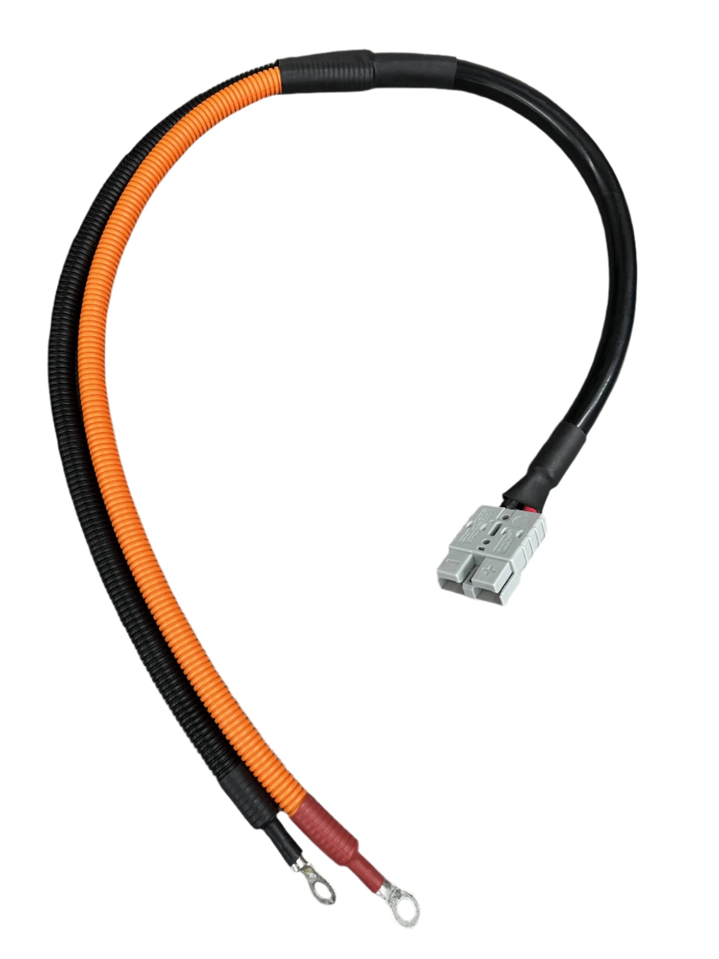 Epoch Batteries - 12V 50A Battery Charger - Epoch Batteries image 3