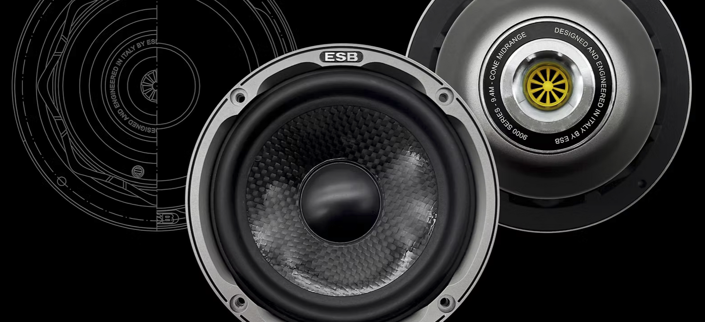 ESB Audio - 9000 Series - 9.4M 4"/100 mm High-End Cone Midrange image 1