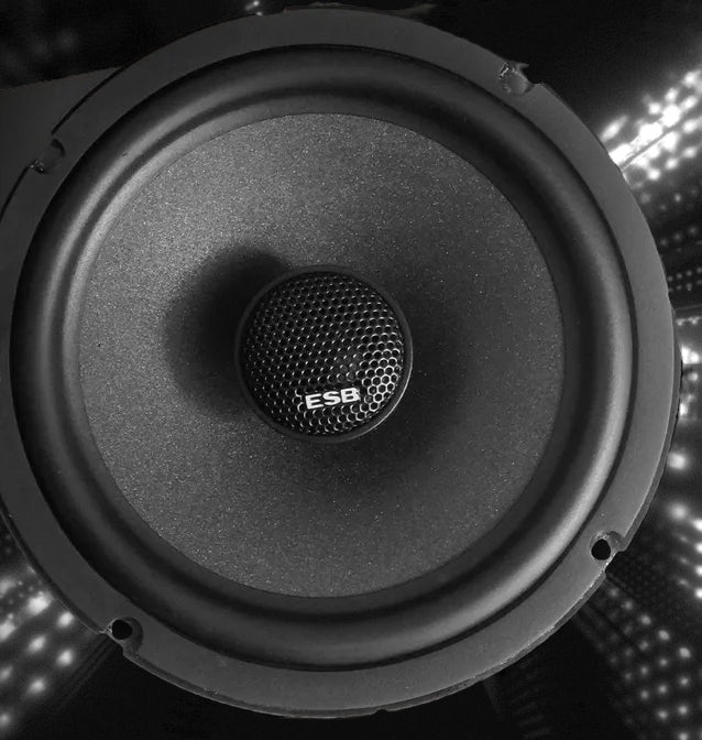 ESB Audio - 1000 Series - 1.6C 6.5"/165 mm Coaxial image 1