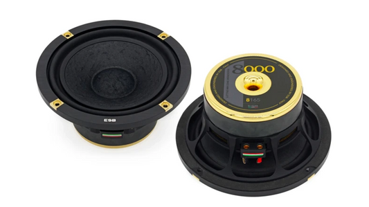 ESB Audio - 8000 Series - 8.165 6.5"/165 mm Mid-Woofer image 0