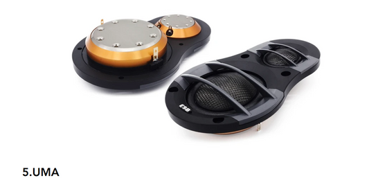 ESB Audio - 5000 Series - 5.UMA 2-Way Mid-High Unit image 0