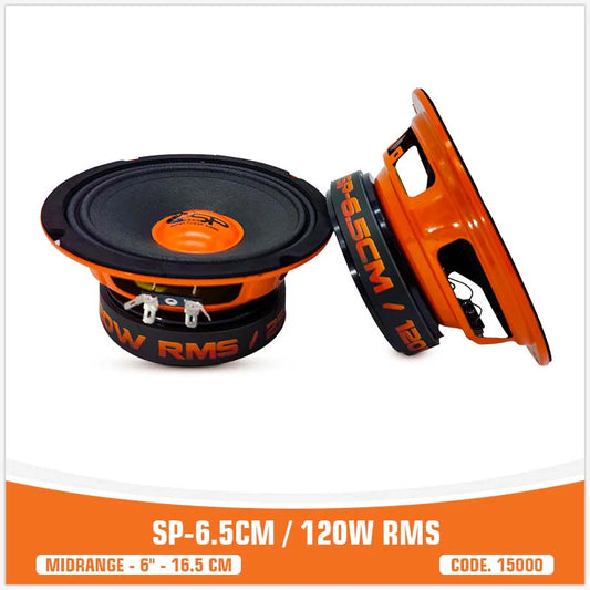 SP Audio - SP 6.5CM MIDRANGE BEST SELLER 6,5"/16,5CM 100W RMS image 0