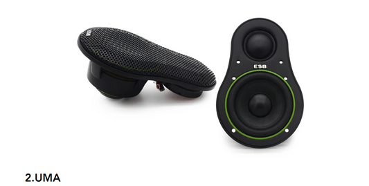 ESB Audio - 2000 Series - 2.UMA  -  2-Way Mid-High Unit image 0