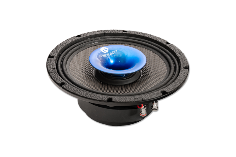 Nemesis Audio  - CXH-8WTR 8″ Water Resistant Pro Audio Midrange Speaker – 700W Max