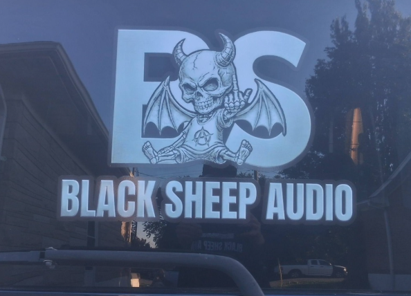 Black Sheep Audio | 12" Carbon Series Subwoofer | 3000w Rms | Dual 1 Ohm | 4 Inch Coil