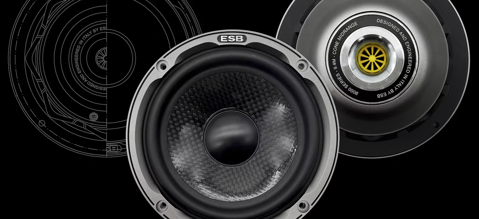ESB Audio - 9000 Series - 9.4M 4"/100 mm High-End Cone Midrange image 1
