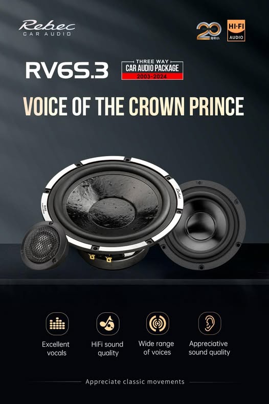 Rebec Audio - RV6S - 3 Way Componet set Active image 0